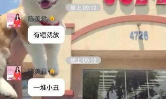 李先生王小姐爆料视频,揭秘背后惊人真相  第2张